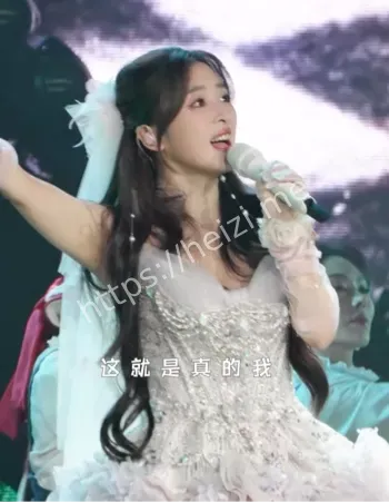 张含韵归韵演唱会上海站