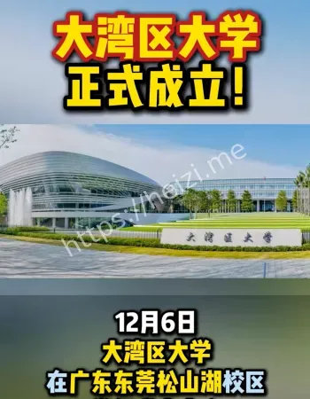 大湾大学成立