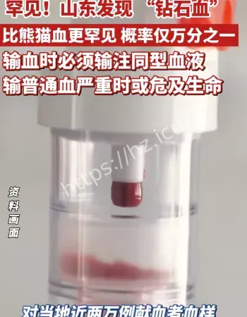 山东发现钻石血